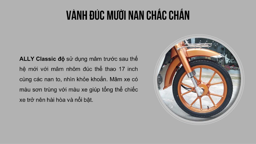 xe 50cc cub ally classic bản độ 2020