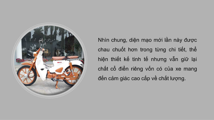 xe 50cc cub ally classic bản độ 2020