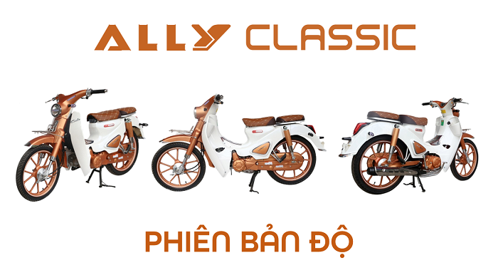 xe cub 50cc ally classic bản độ 2020