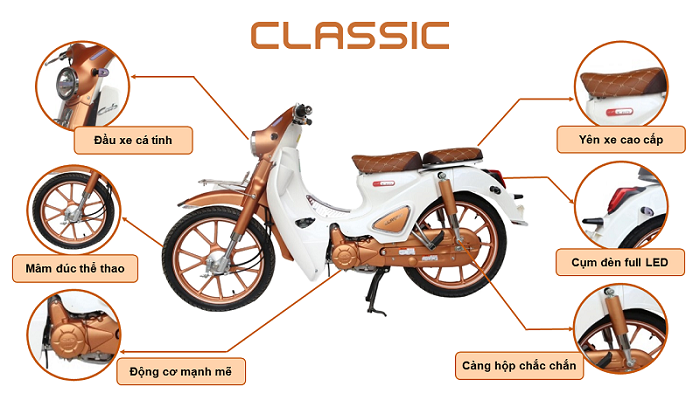 xe 50cc cub ally classic bản độ 2020