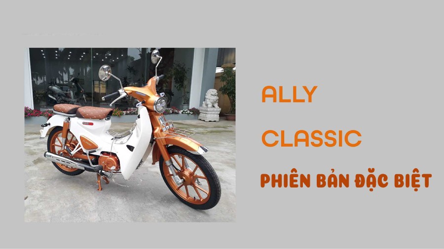 xe 50cc cub ally classic bản độ 2020