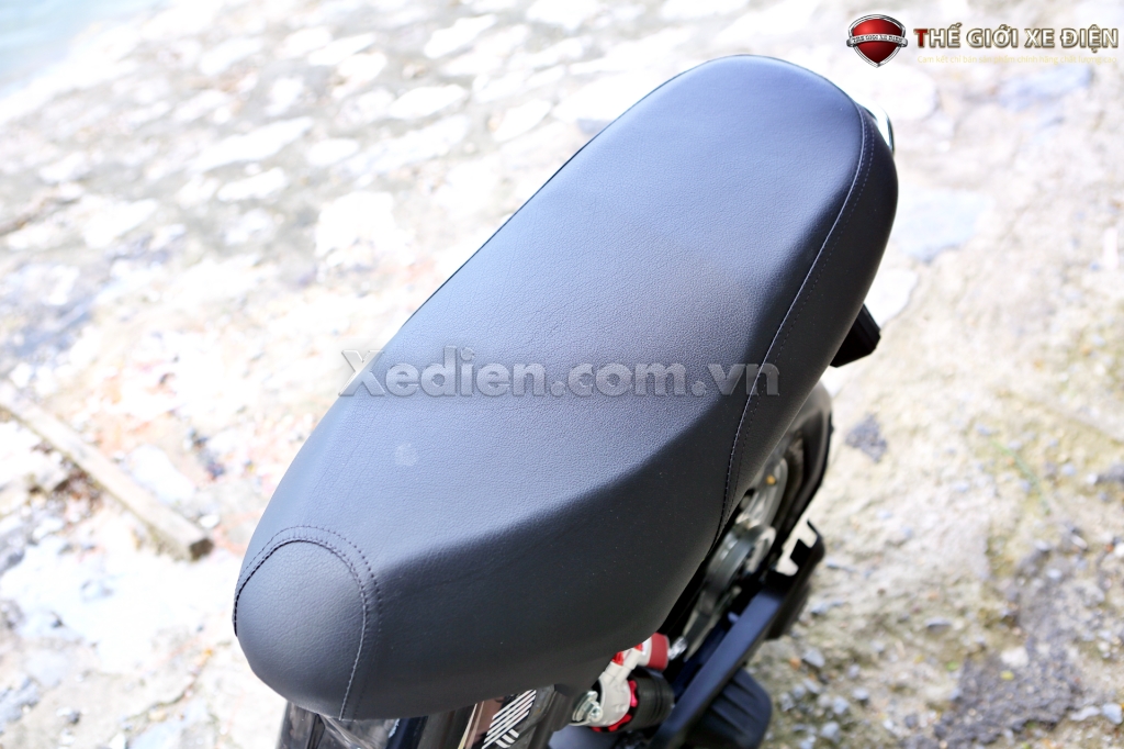 xe đạp điện cap max