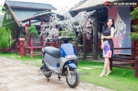 Xe Máy Điện JVC Gogolo Phanh Đĩa