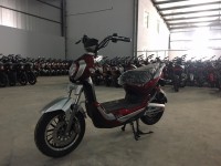 Xe điện Terra Motors D750