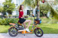 Xe đạp điện Dk 18A