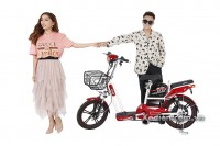 Xe đạp điện Dk Zip