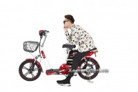 Xe đạp điện Dk Zip