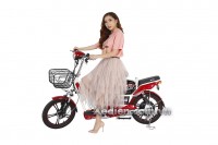 Xe đạp điện Dk Zip