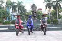 Xe điện Mocha Alaskan