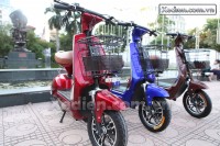 Xe điện Mocha Alaskan