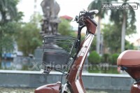 Xe điện Mocha Alaskan