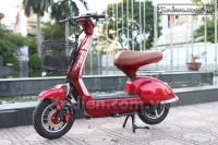 Xe điện Mocha Alaskan