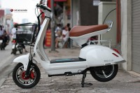 Xe điện Mocha Alaskan