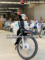 Xe máy 50cc Cub 81 DAISIM