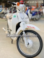 Xe máy 50cc Cub 81 DAISIM