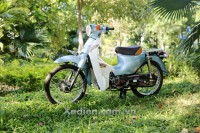Xe Máy 50cc Cub Jipand