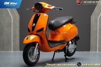 Xe Máy Điện Dk Roma Đời Mới