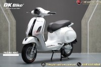 Xe Máy Điện DK Roma Lite Mới Nhất (2024)