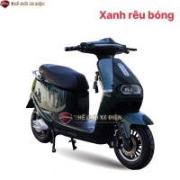 Xe Máy Điện Gogo New V86 Victoria Việt Nhật