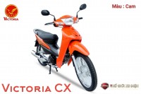 Xe Máy 50cc Wave Victoria 2023