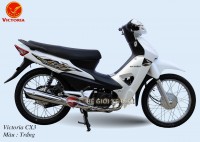 Xe Máy 50cc Wave CX3 Victoria Việt Nhật