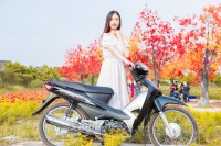 Xe Máy 50cc Wave Việt Thái