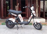Xe Đạp Điện HT Bike Cap A-Max