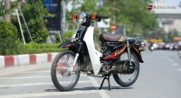 Xe máy 50cc Cub 81 Espero