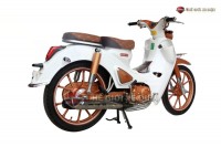 Xe Máy 50cc Cub Ally Classic Bản Độ