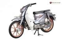 Xe Máy 50cc Cub Ally Classic Bản Độ