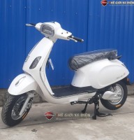 Xe Máy Điện Vespa Motor Thái Đời Mới