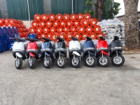 Xe Máy Điện Gogo Nioshima 2020