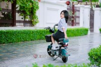 Xe Đạp Điện Super Goglan Đời Mới