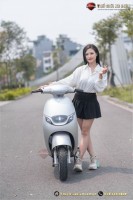 Xe Máy Điện Tailg Venus R53 6 Ắc Quy 23A