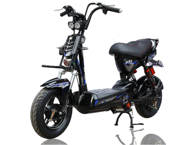 Xe đạp điện 133M8