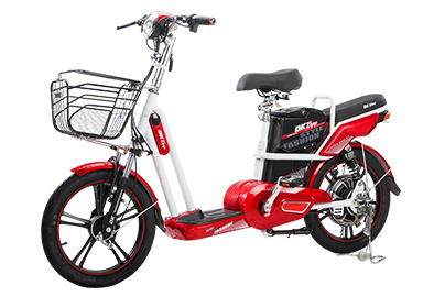 Xe đạp điện Dk Zip