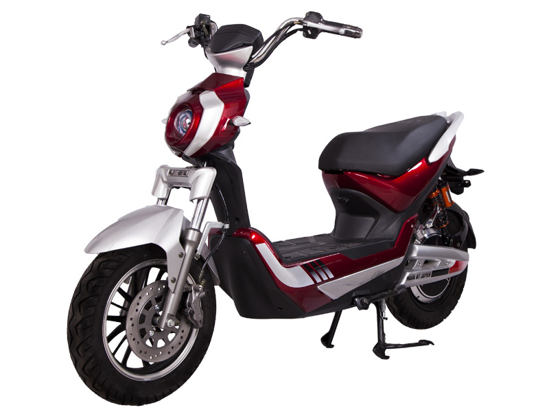 Xe điện Terra Motors D750