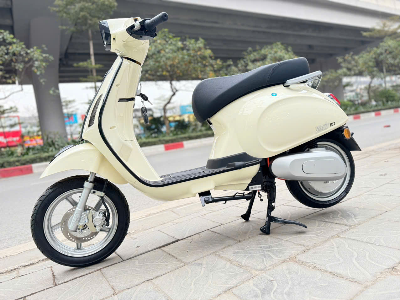 Xe M&aacute;y Điện Tailg Vera R52