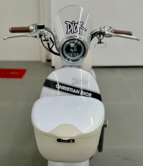 Xe Đạp Điện Tailg GR54 Đầy Đủ Giấy Tờ