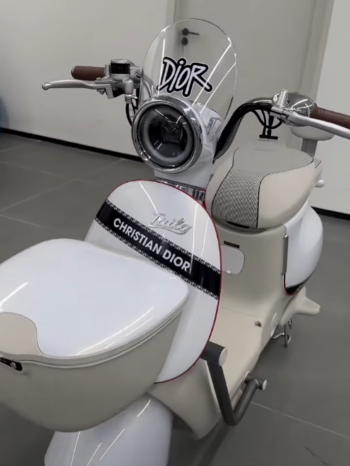 Xe Đạp Điện Tailg GR54 Đầy Đủ Giấy Tờ