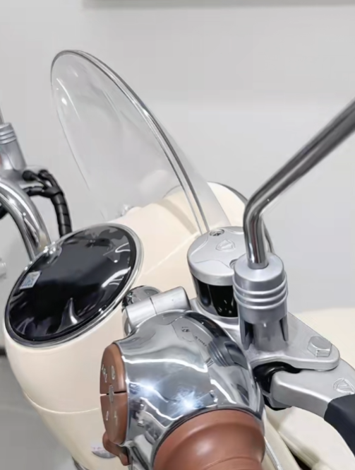 Xe Đạp Điện Tailg GR54 Đầy Đủ Giấy Tờ