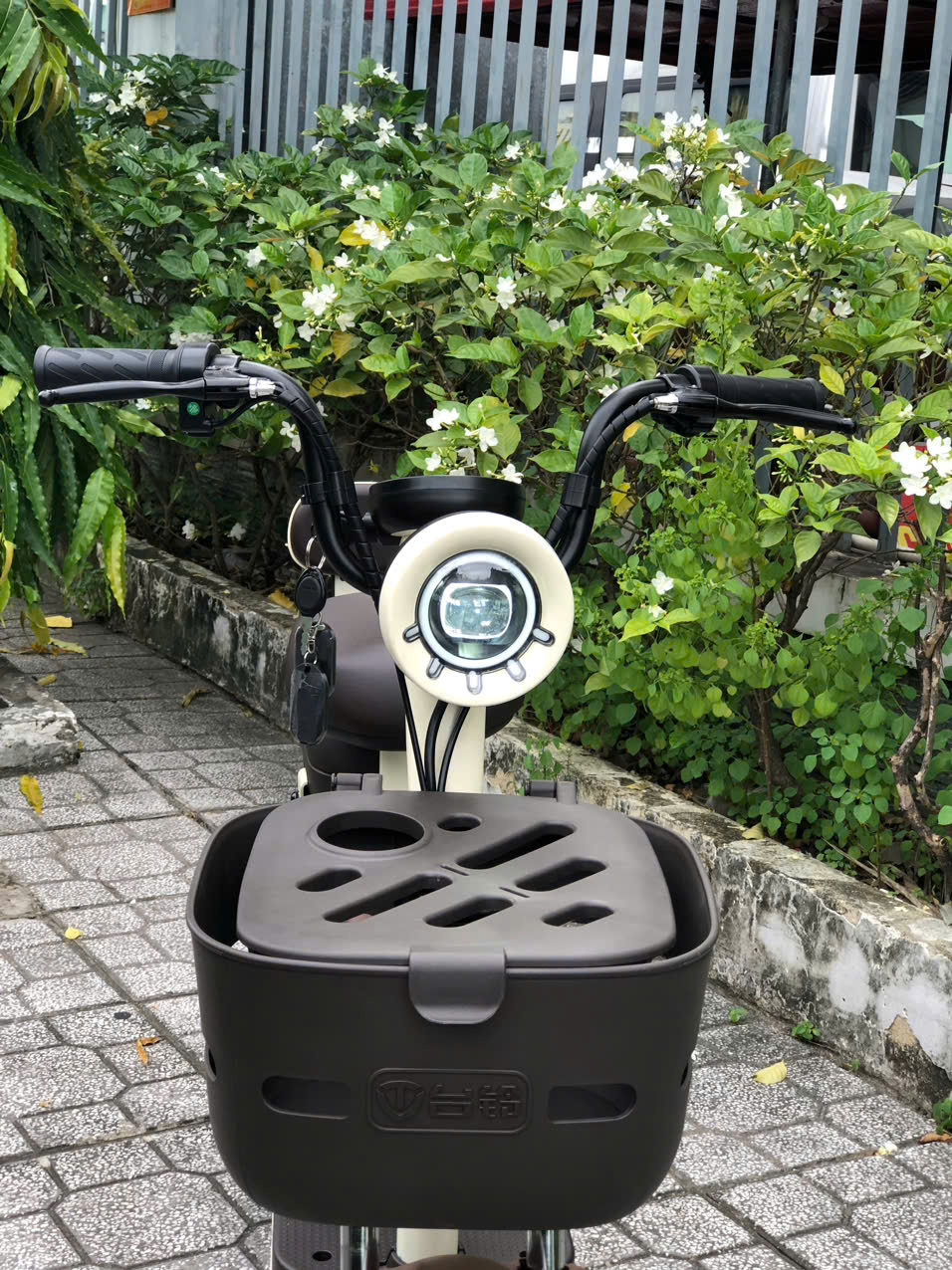 Sơn phủ cao cấp, bền bỉ với thời gian