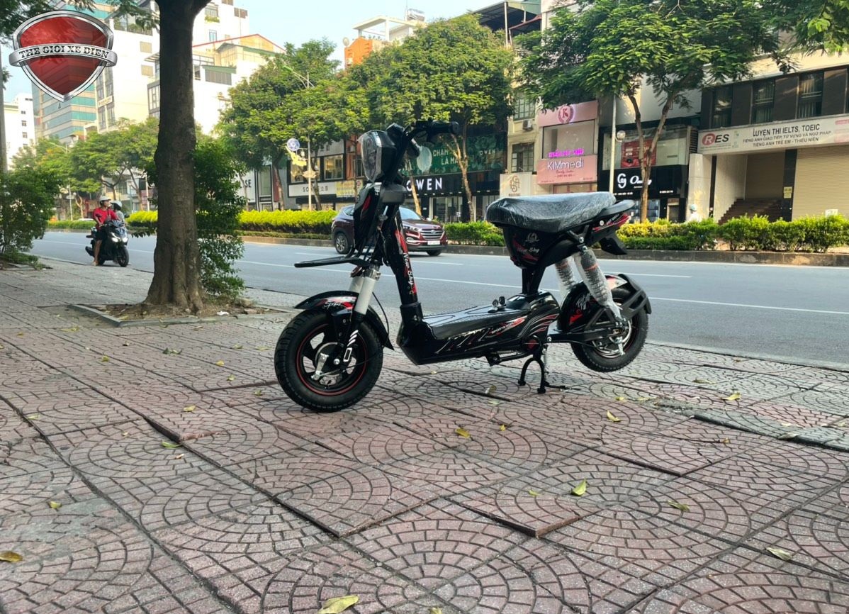 Xe đạp điện 133 New Sky Japan