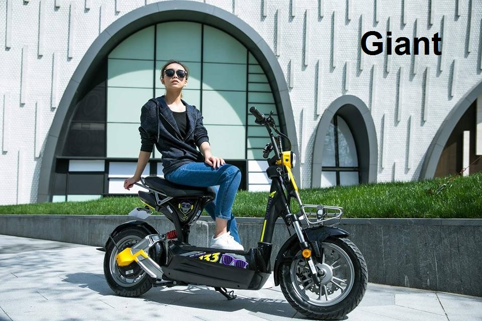 Xe điện Giant