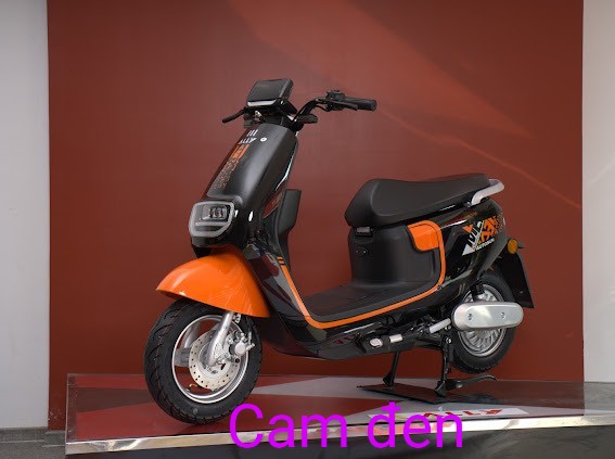 Xe máy điện Ally Autosun A3 