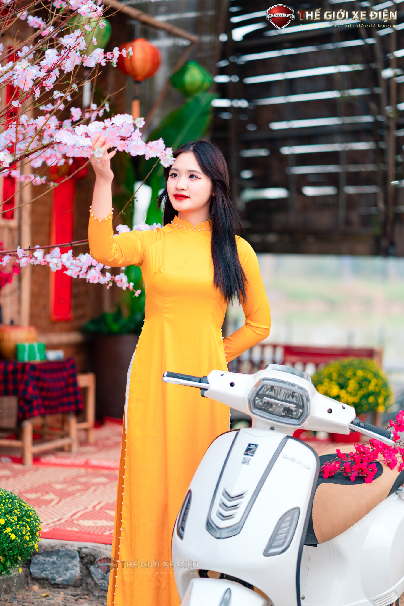 Xe máy điện Dibao Pansy S4