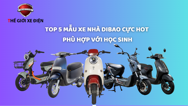 TOP 5 MẪU XE NHÀ DIBAO CỰC HOT PHÙ HỢP VỚI HỌC SINH