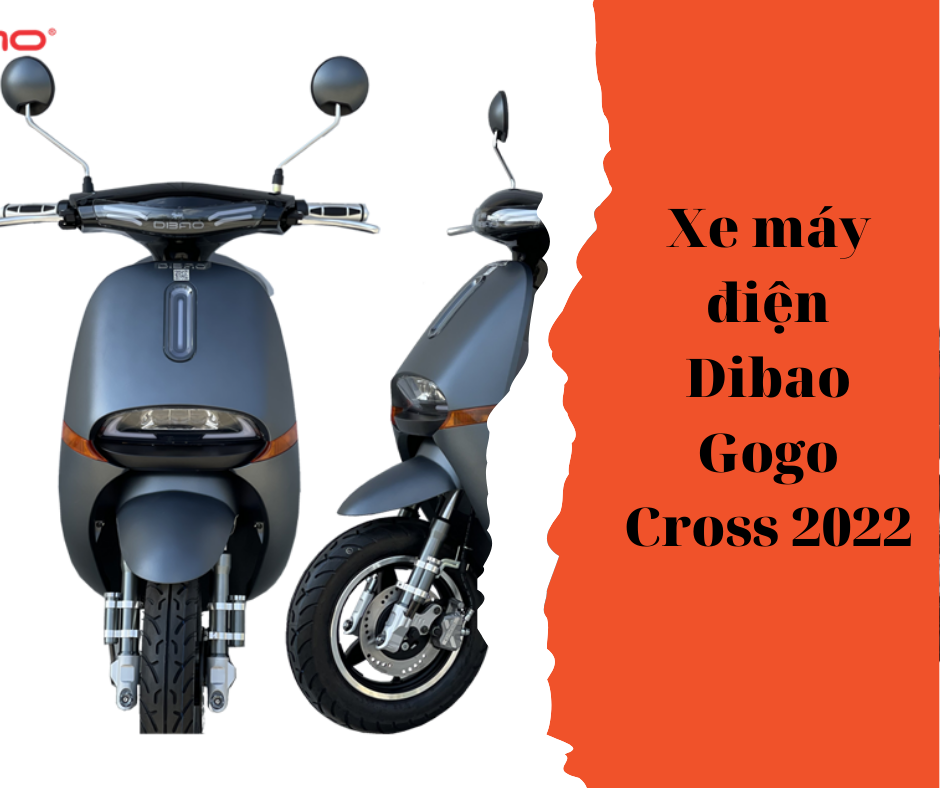 Xe máy điện Dibao Gogo Cross 2022