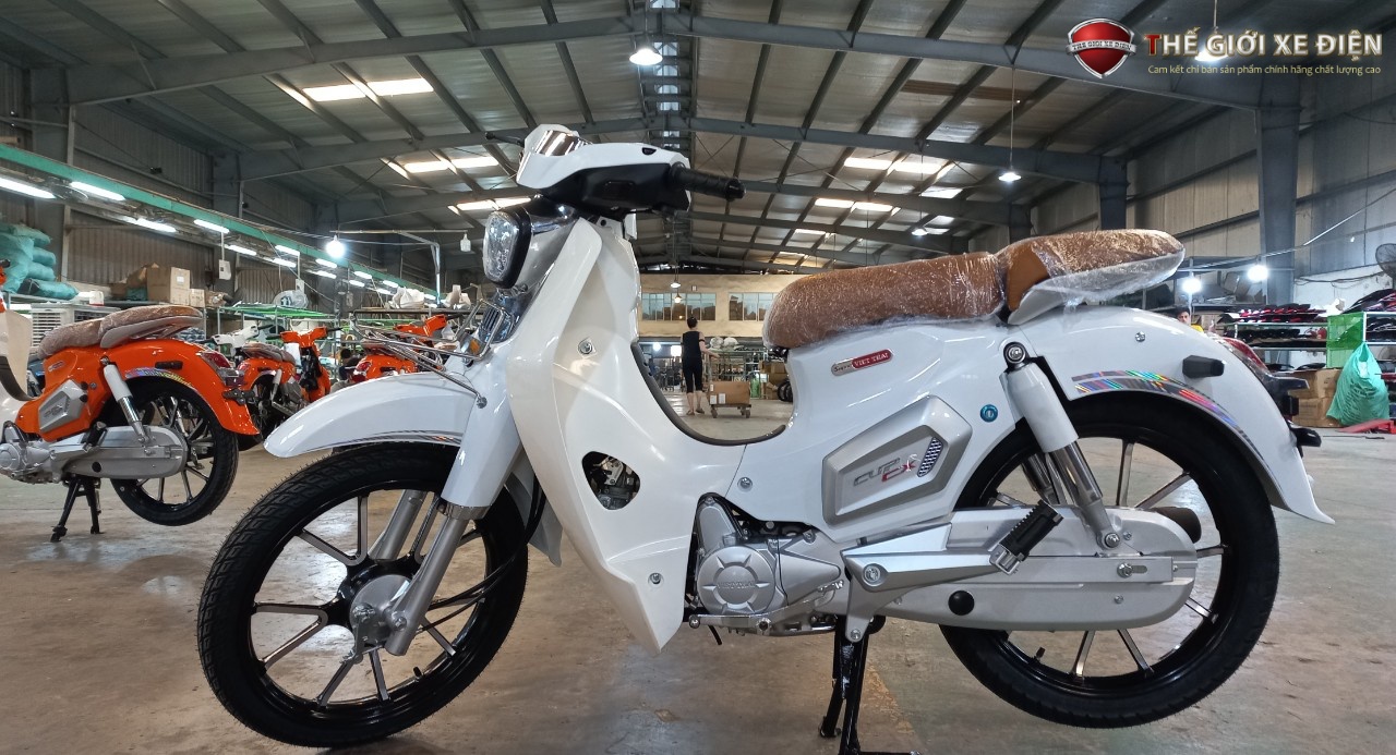 Thiết kế đơn giản, cổ điển từ xe máy 50cc cub Việt Thái