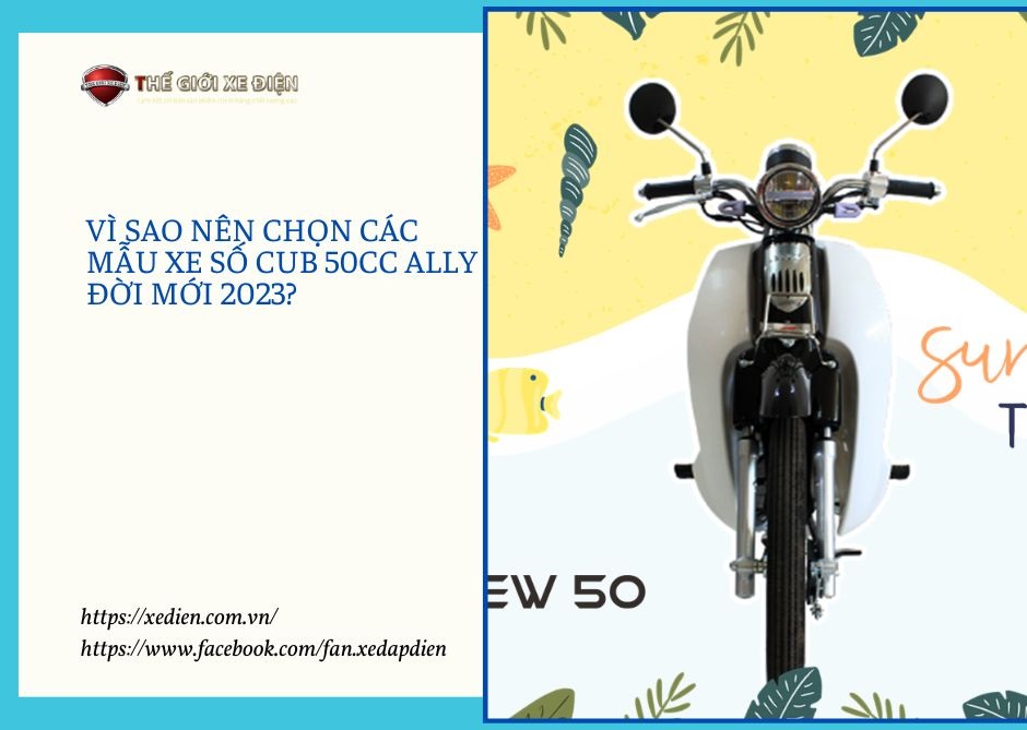 Vì sao nên chọn các mẫu xe số Cub 50cc Ally đời mới 2023?